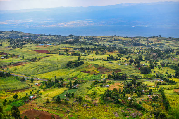 Eldoret