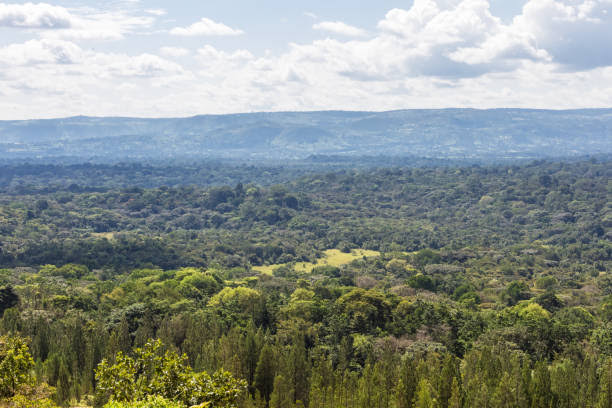 Kakamega