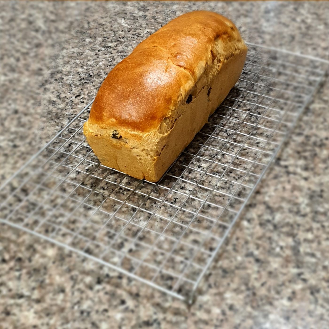 raisin bread 4