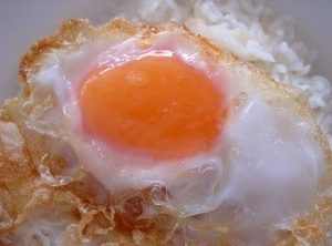 F32 Fried Egg With Rice One Egg