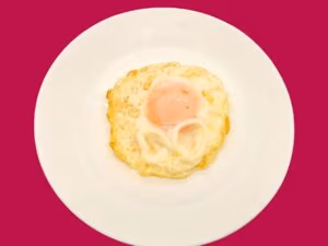 F 103 Fried Egg
