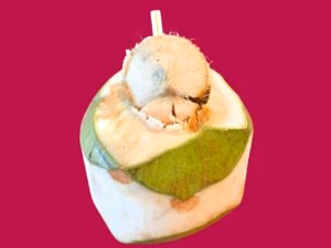 BJ 10 Fresh Coconut
