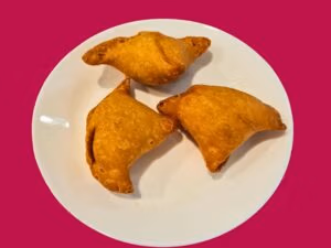 F282 Samosa