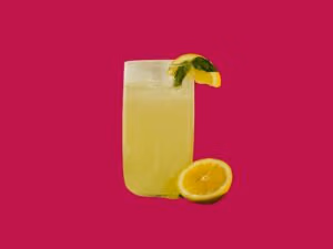 BJ 04 Fresh Lemon Juice