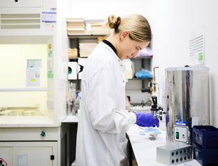 Researcher concentrating in laboratory