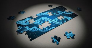 Genetic testing: a deeper understanding of just how our history can inform our future