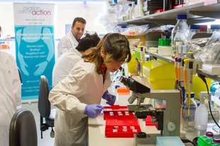 Ovarian Cancer Action Research Centre