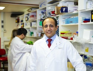 Professor Ahmed Ahmed