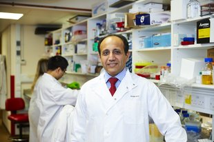 Professor Ahmed Ahmed