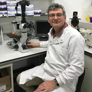 Professor of Molecular and Cellular Immunology, Professor Graham Cook