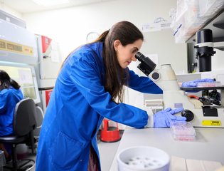 Researcher looking through microscope