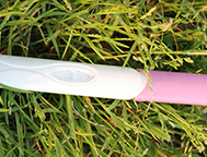 A blank pregnancy test on top of green grass.