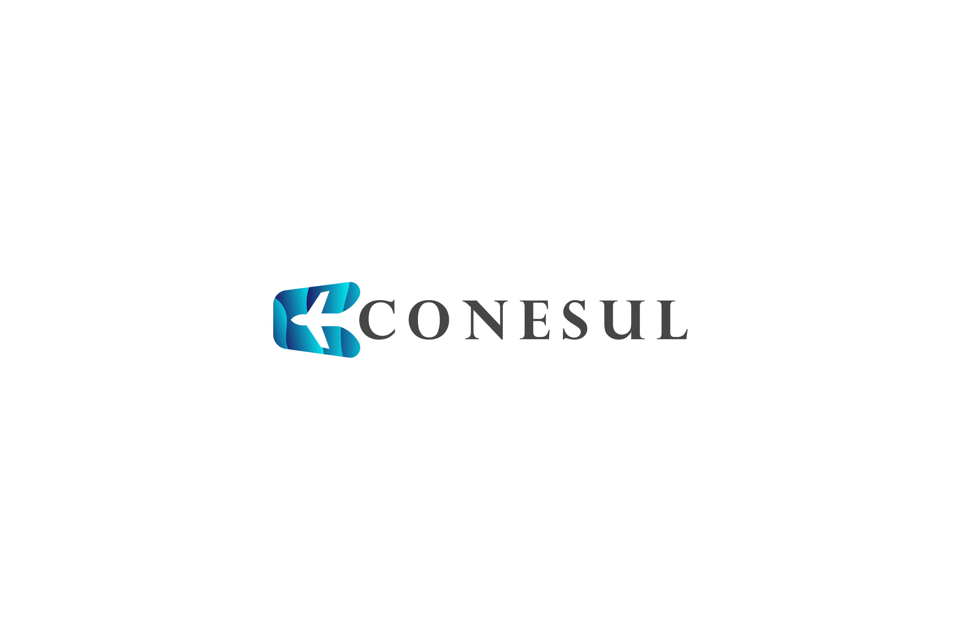 Conesul.org logo