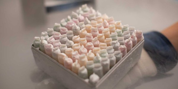 The Copenhagen Workshop on Cryopreservation of Ovarian Tissue