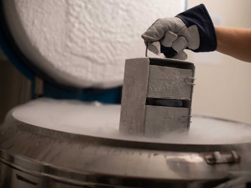 Cryotubes in nitrogen tank