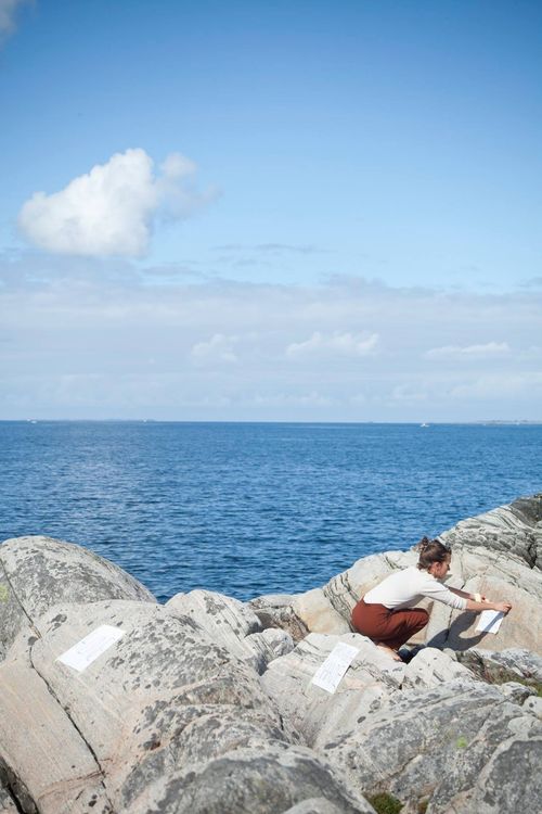 pabos_øy_foto_Samuel Brzeski2.jpg