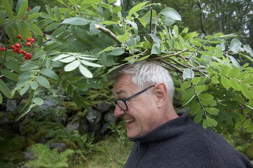 skog120817n.jpg Flørli