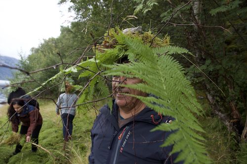 skog120817pale.jpg Flørli