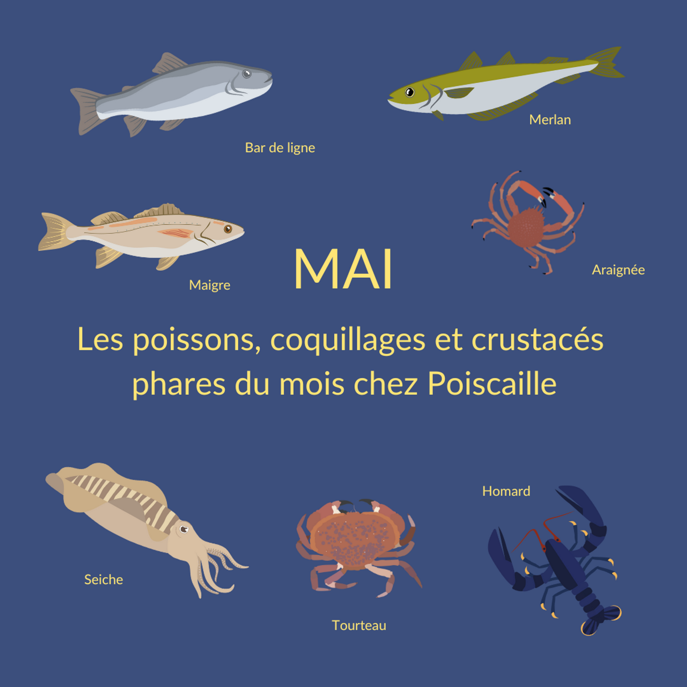 pince à poisson araignée