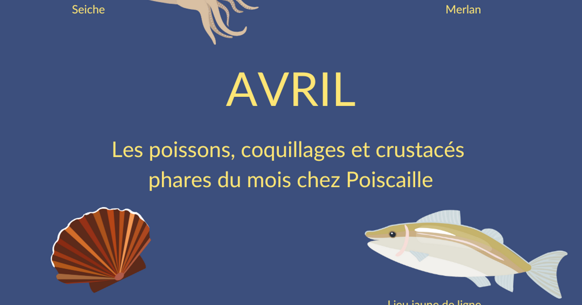 S'en battre hotsell le coquillage