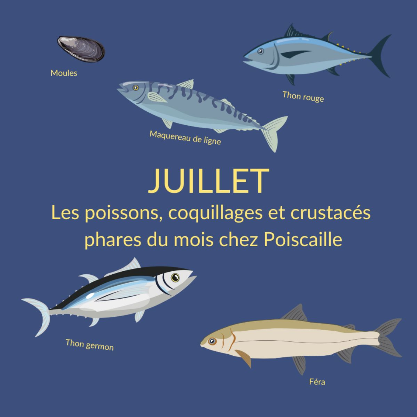 Poiscaille - Commander poissons frais dans notre poissonnerie en ligne