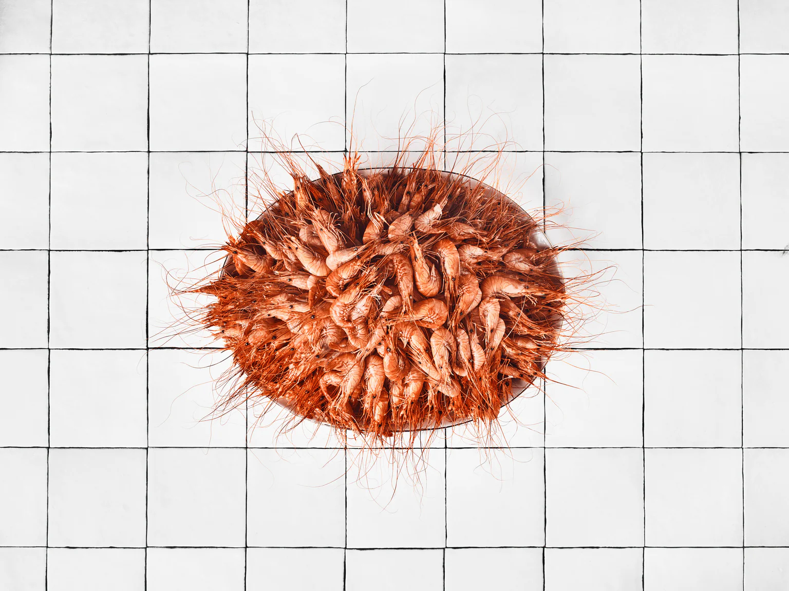 Un beau bouquet cuit ! Saura ravir les amateurs de crevettes. La durabilité en plus.