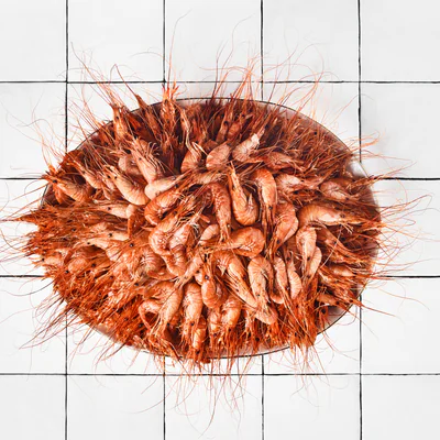 Un beau bouquet cuit ! Saura ravir les amateurs de crevettes. La durabilité en plus.