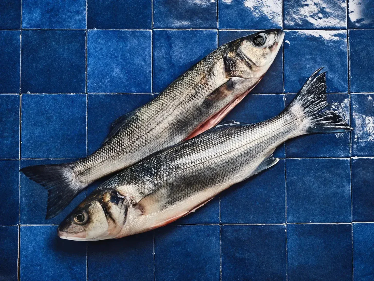 De beaux bars pêchés durablement par nos pêcheurs