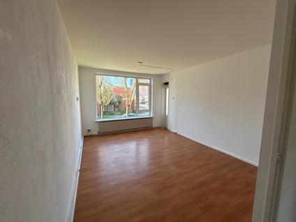 For rent: Groningen
