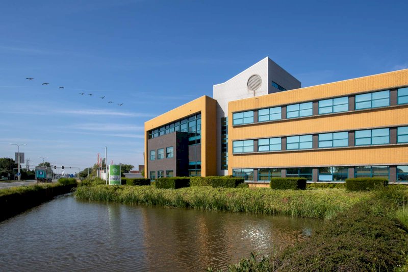 Te huur: Naaldwijk