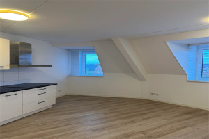 Te huur: Veldhoven / €1447 p.m. / 56m2