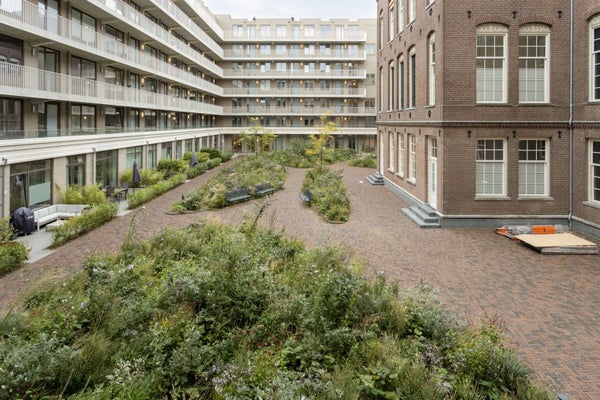 For rent: Amsterdam