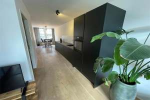 For rent: Rotterdam