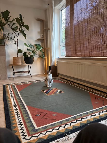 For rent: Amsterdam