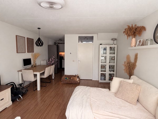 For rent: IJmuiden
