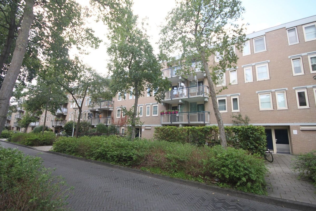 For rent: Amsterdam