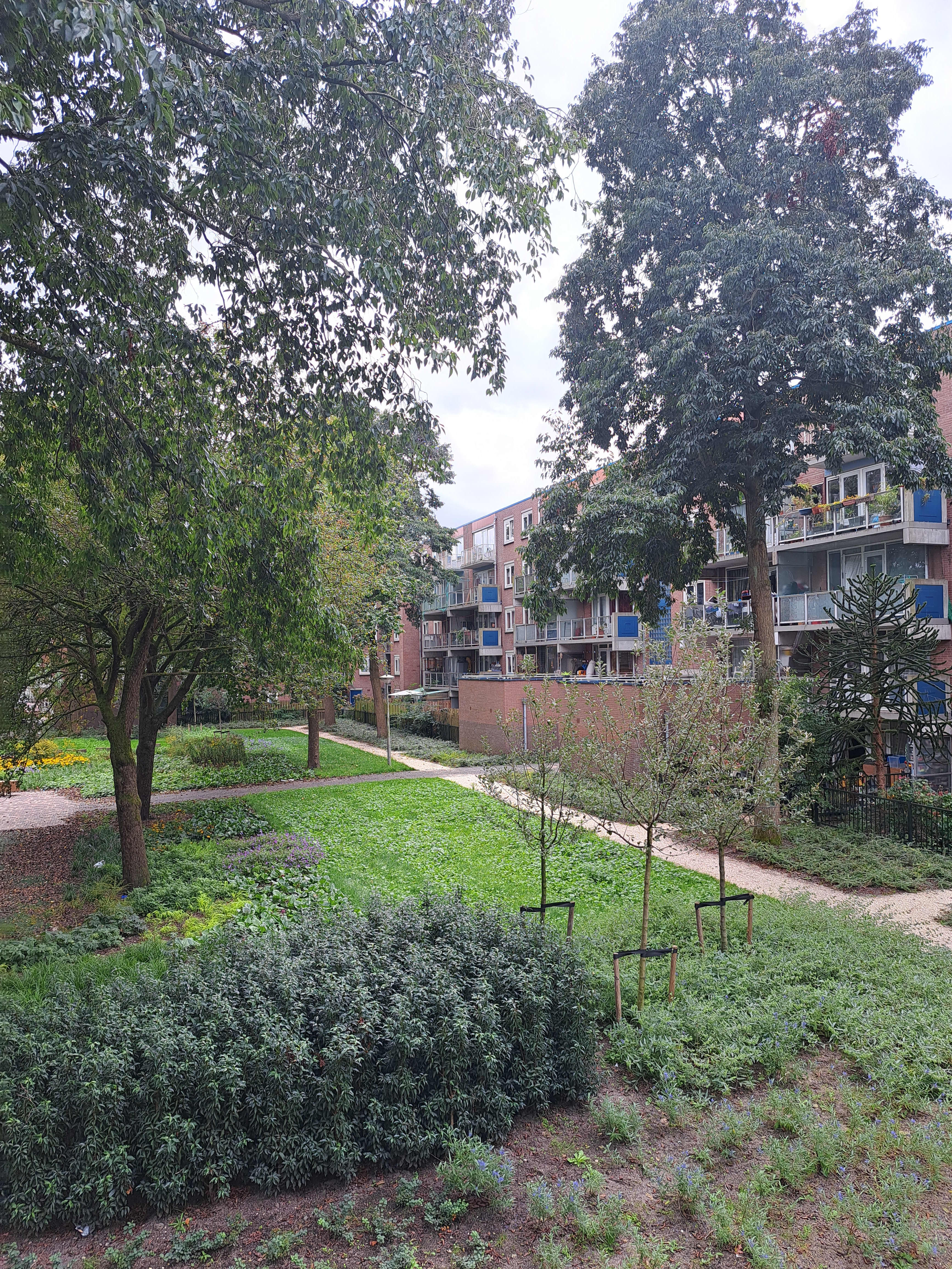 For rent: Amsterdam