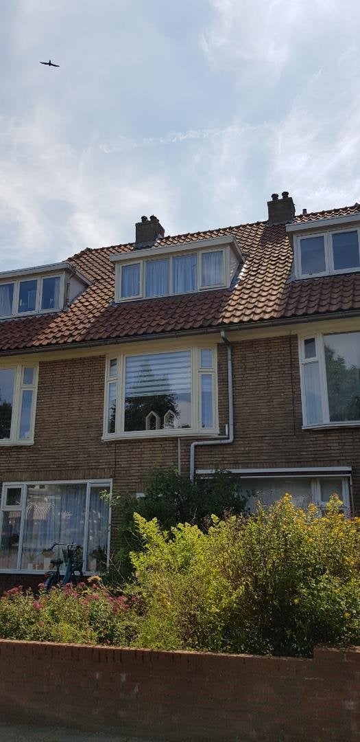 Te huur: Leeuwarden