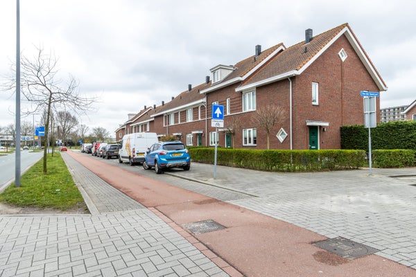 For rent: Rotterdam