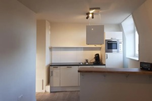 Te huur: Maastricht / €1216,00 p.m. / 49,00m2