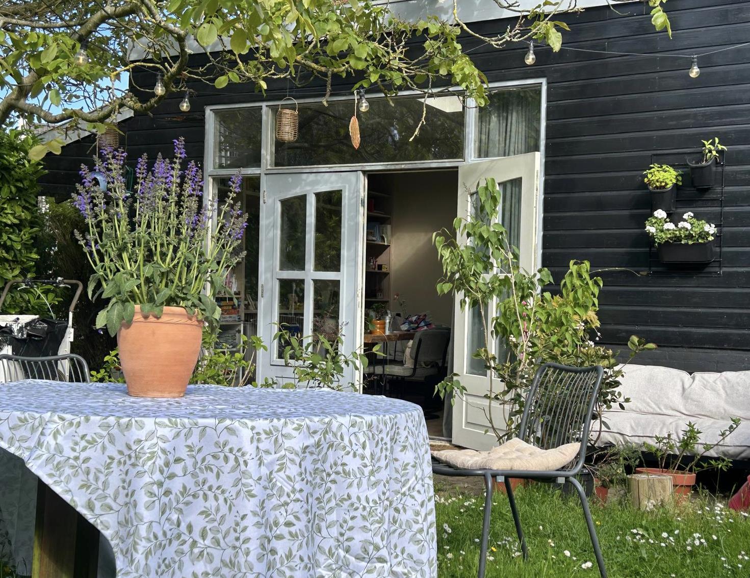 For rent: Amsterdam