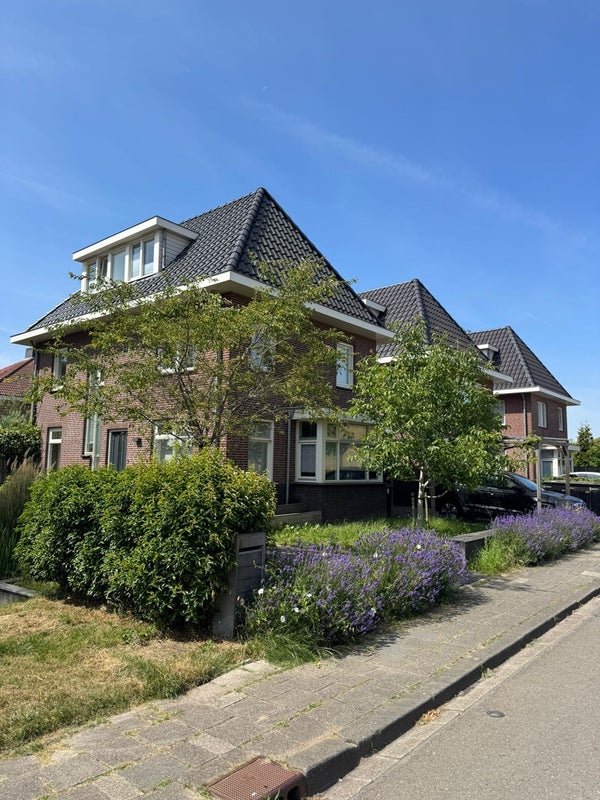 Te huur: Rotterdam