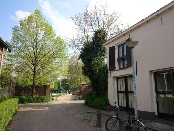 For rent: Wageningen