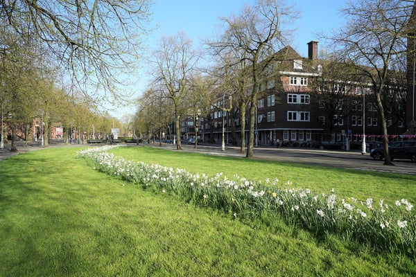 For rent: Amsterdam