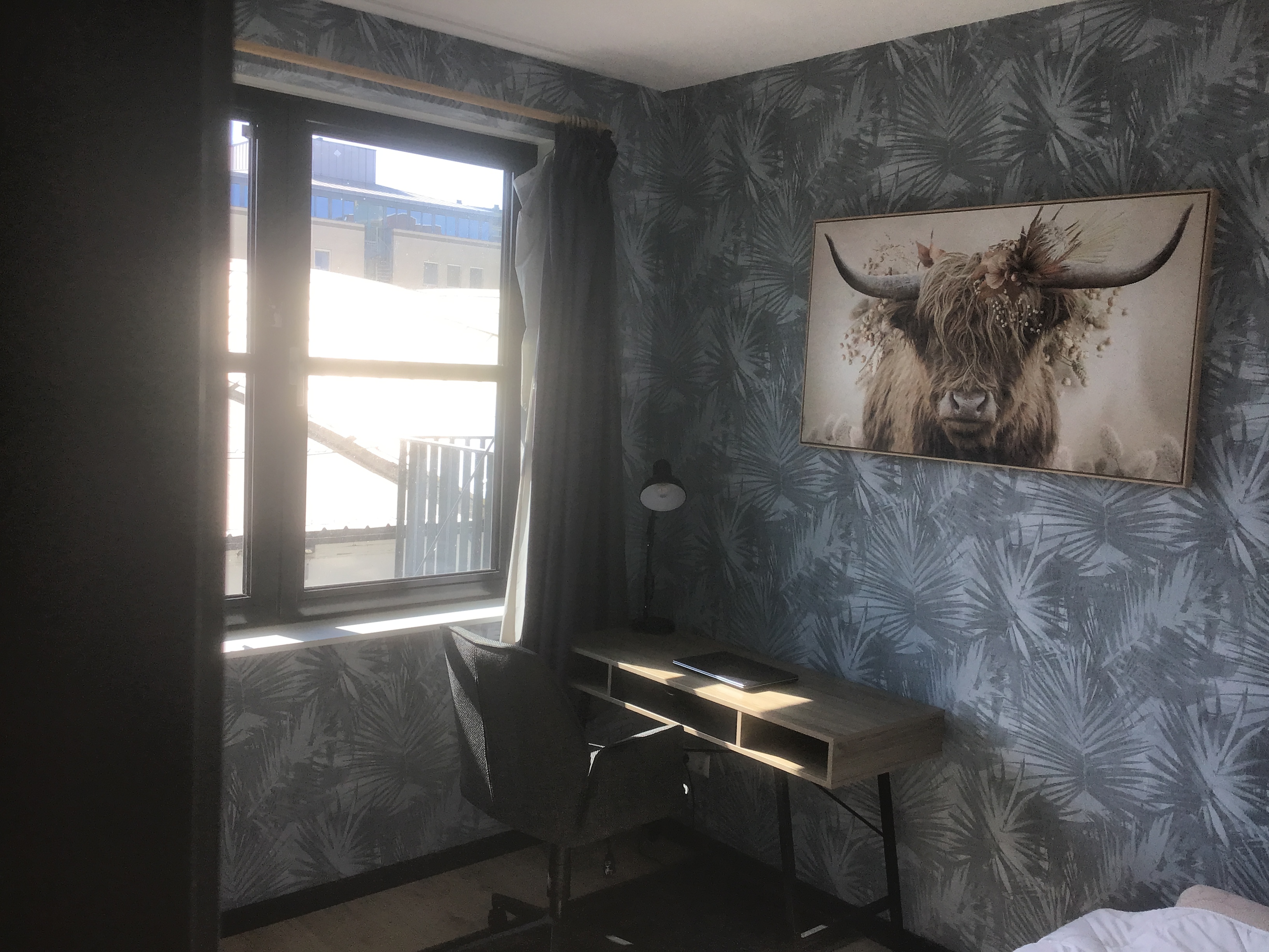 For rent: Delft / €350 p.m. / 10m2