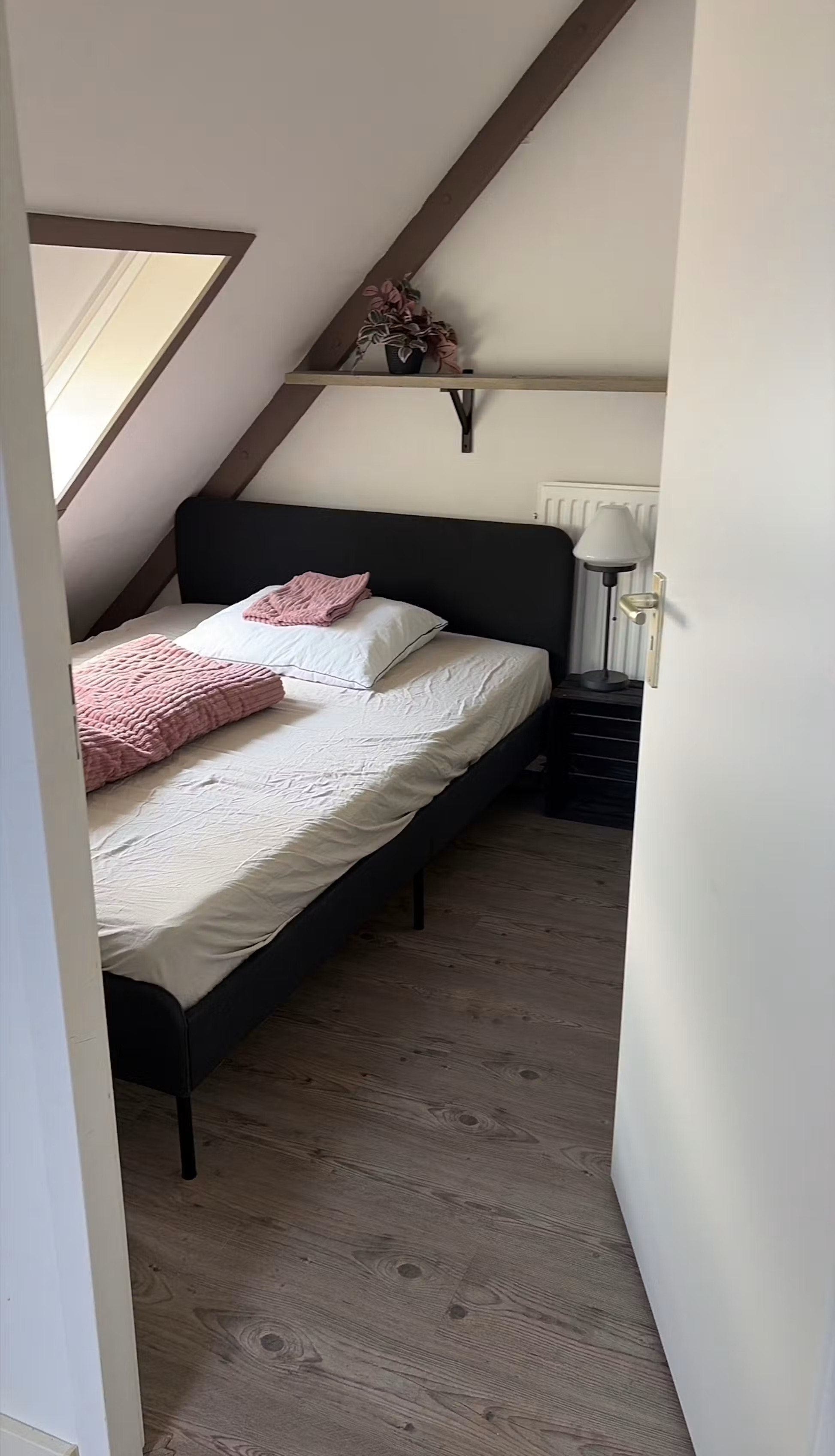 For rent: Rotterdam