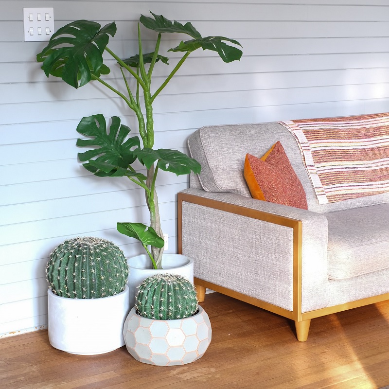 For rent: Voorburg / €800.00 p.m. / 31.00m2