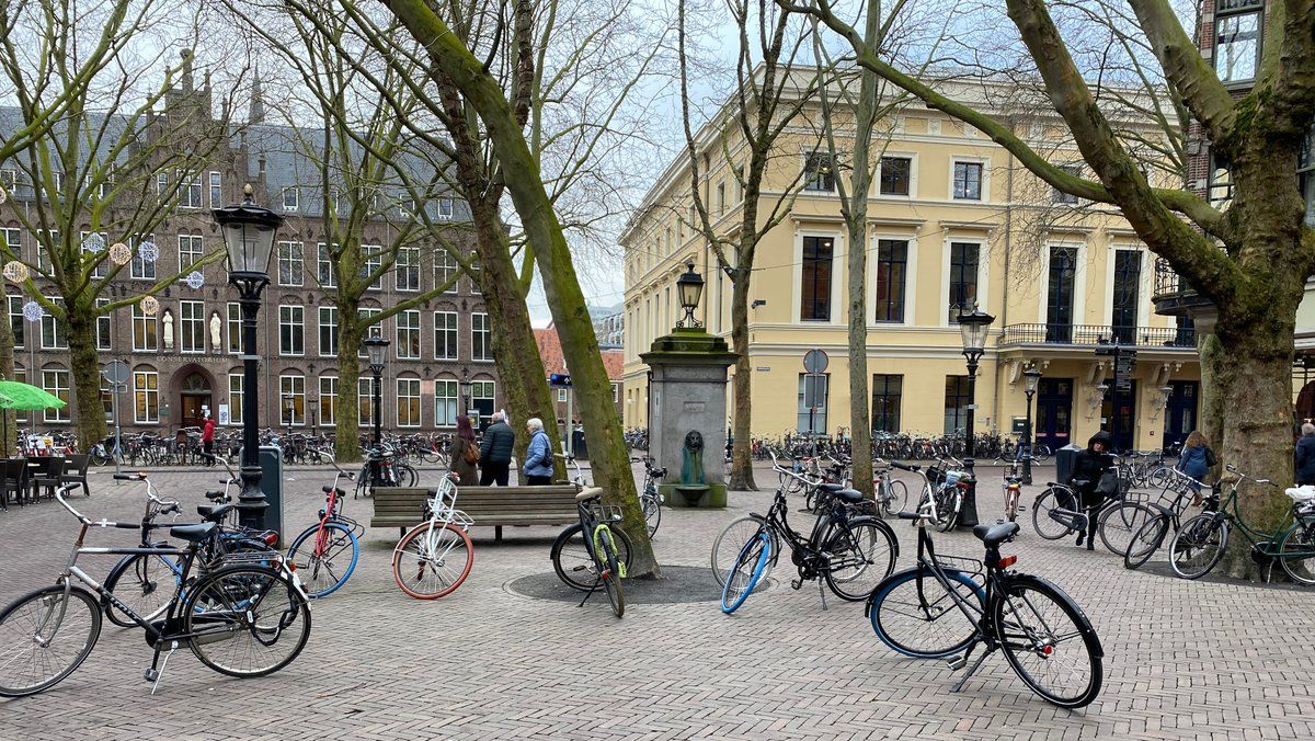 For rent: Utrecht / €950 p.m. / 20m2