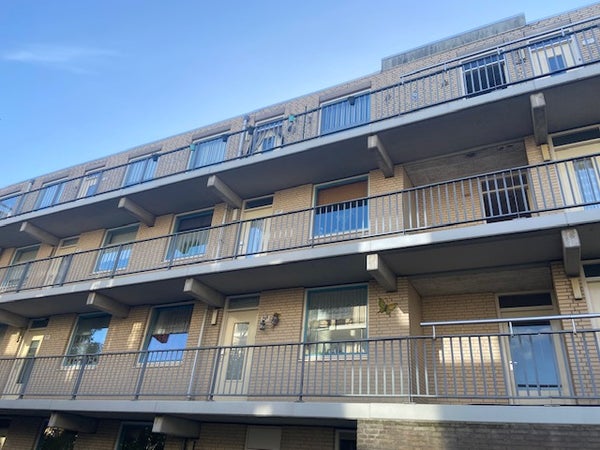 For rent: Leiden