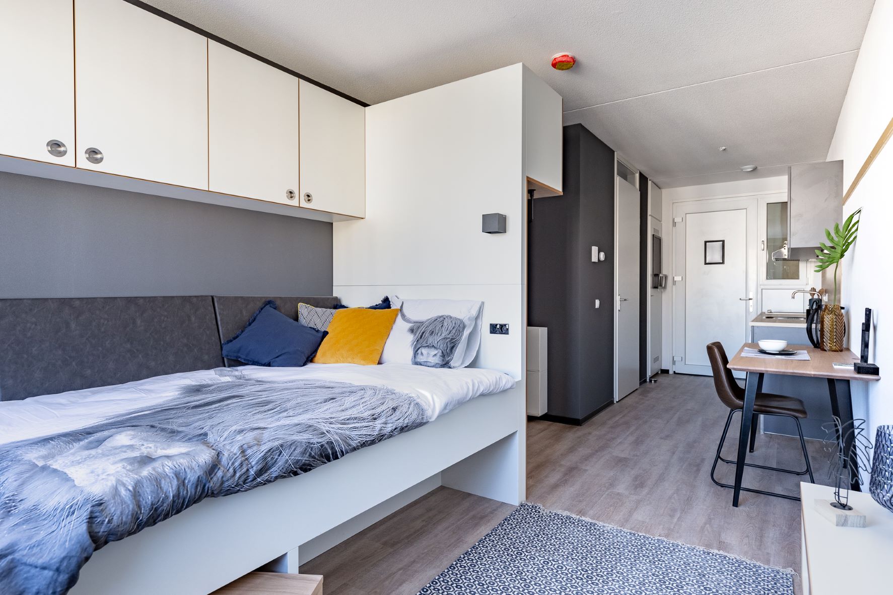 Te huur: Utrecht / €1025 p.m. / 20m2